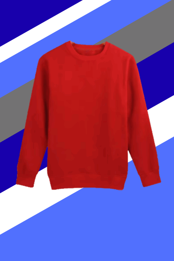 Buzo de frisa cardada - Imagen 2